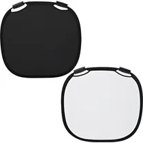 profoto-100967-reflector-black-white-l-120c.jpg