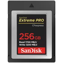 sandisk-extreme-pro-256gb-cfexpress-type-b.jpg
