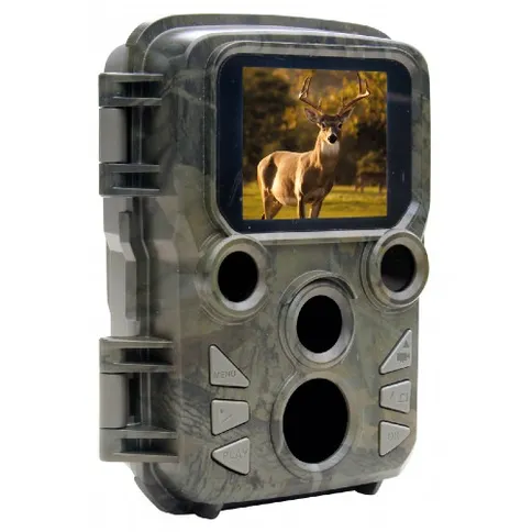 Braun_800mini-3.jpg