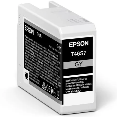 Epson_T46S7_Grijs_foto1.jpg