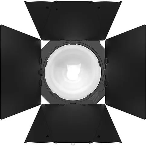 Aputure-CF12-Barn-doors_2.jpg