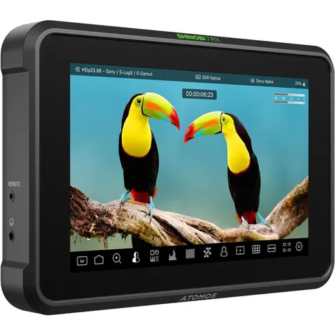 Atomos-Shinobi-7-RX_6.jpg