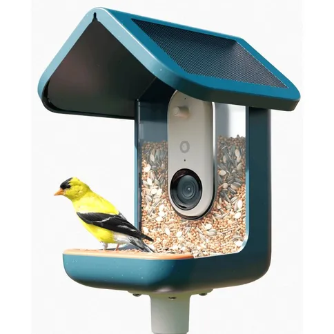 Bird-Buddy-2-0-Smart-Bird-feeder-with-solar-panel_1.jpg