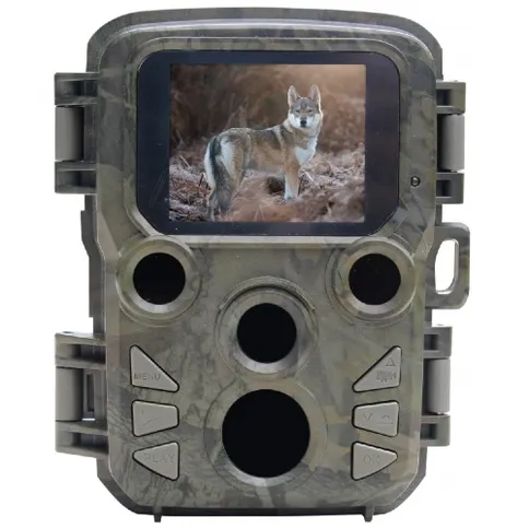Braun_800mini-1.jpg