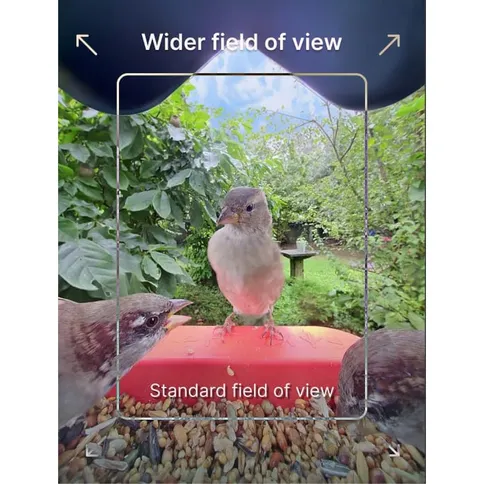 Bird-Buddy-2-0-Smart-Bird-feeder-with-solar-panel_5.jpg