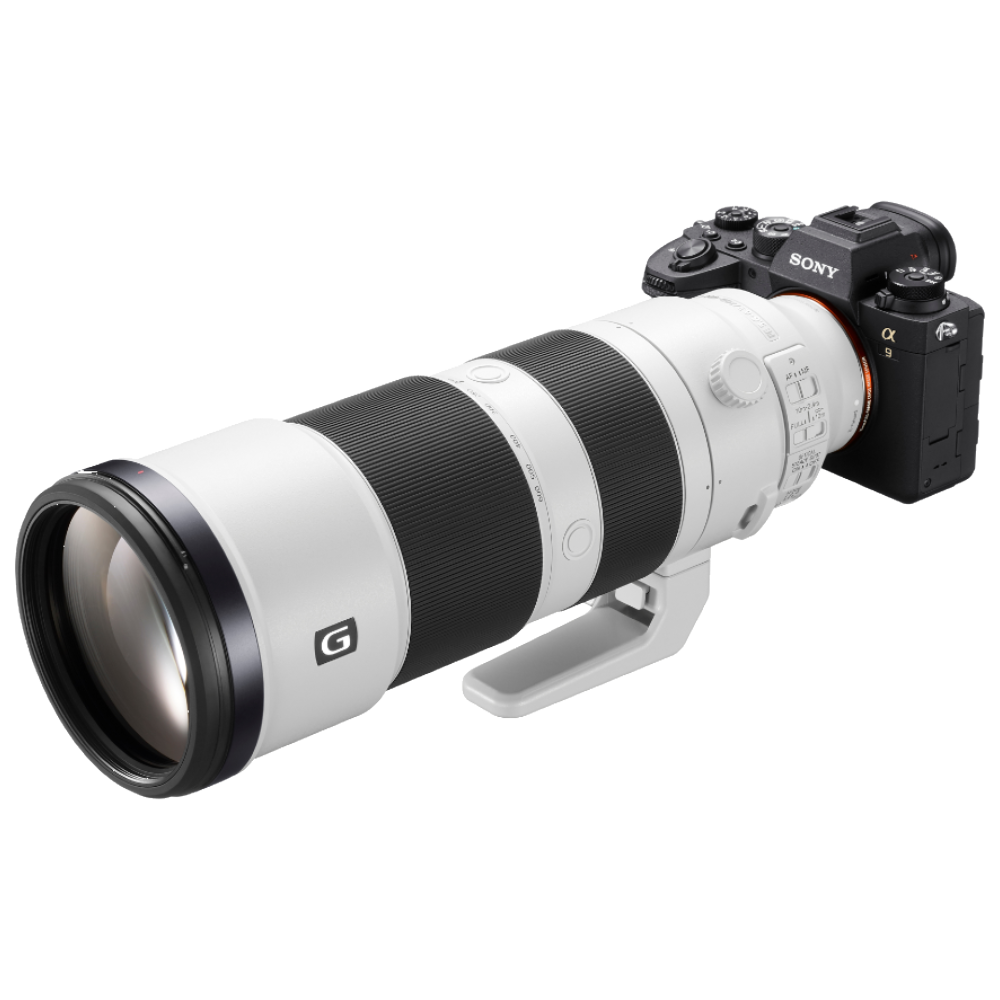 Sony Alpha 9 II + FE 200-600mm F/5.6-6.3 G OSS
